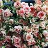Светлана Мандрич, користувач 1ua 